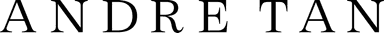 Andre Tan logo